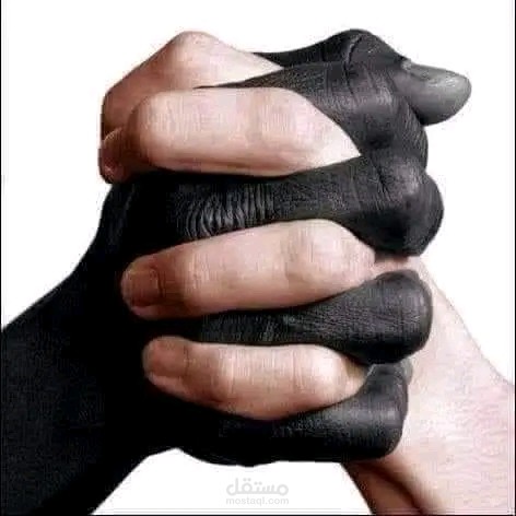 رواية عن العنصرية