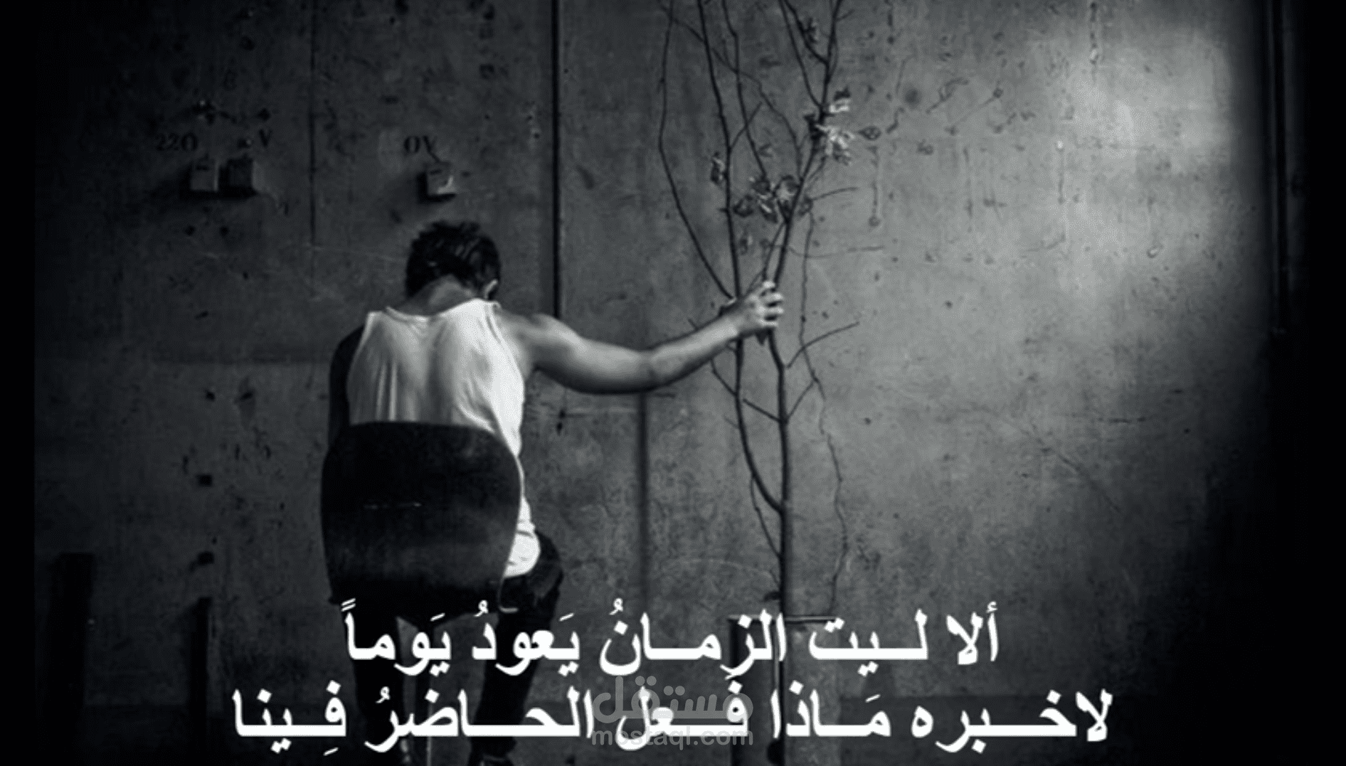 ألا لــــــيت الزمـــــــــانُ يَــــعودُ يــــومــاً
