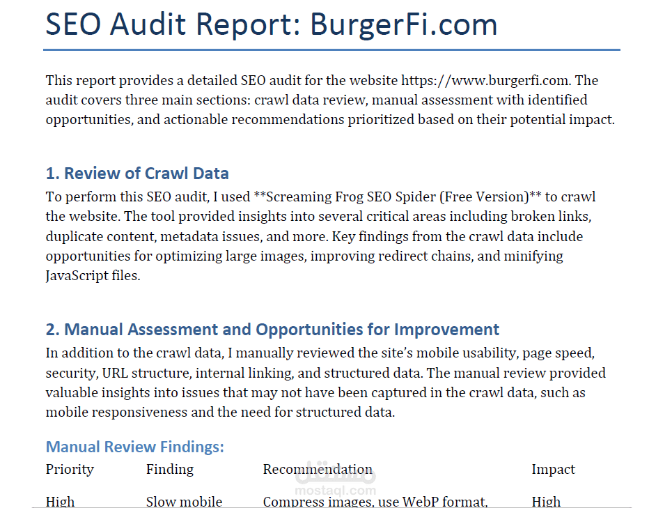 SEO Audit Rep