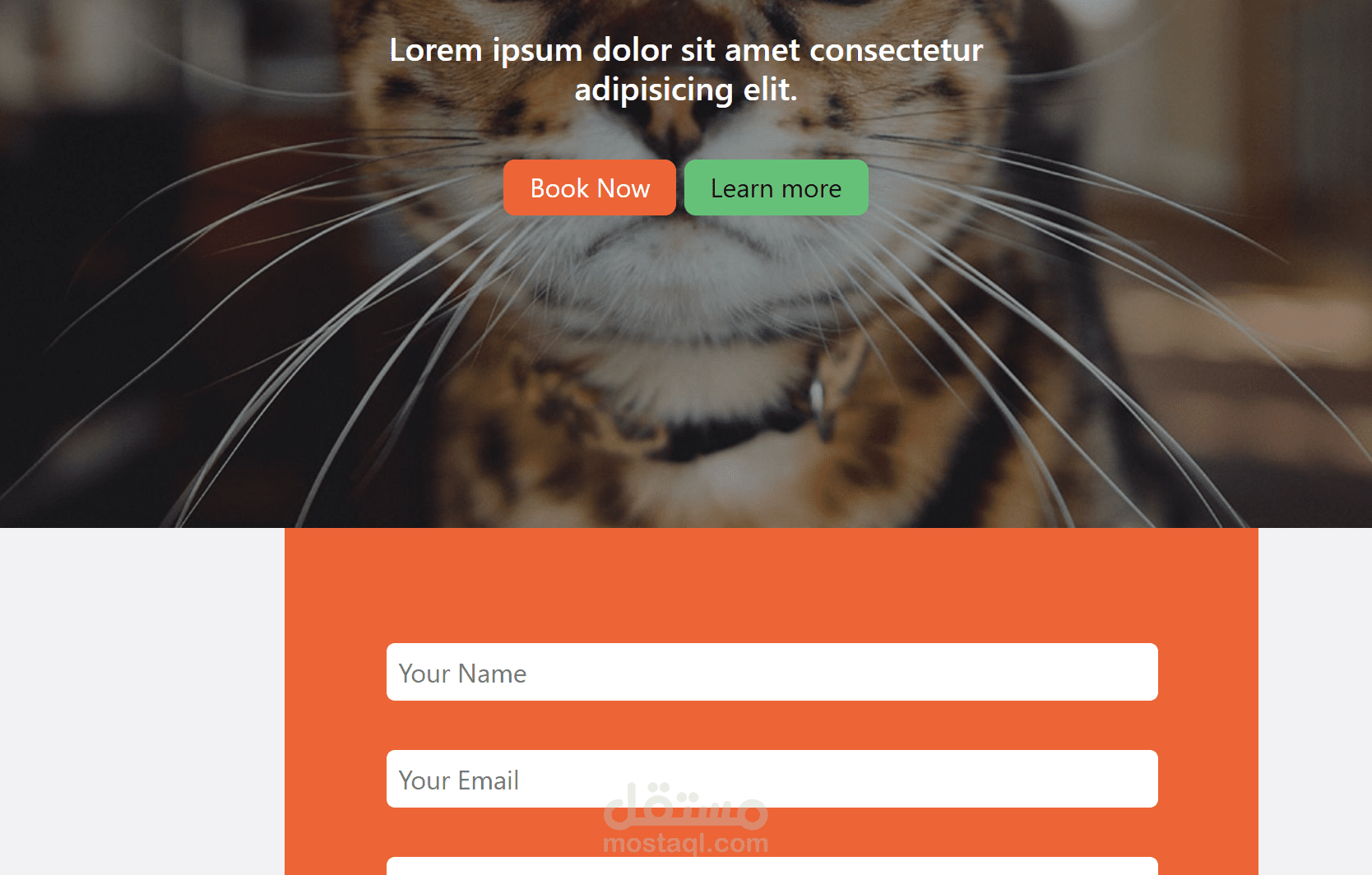 PetLovers WebPage