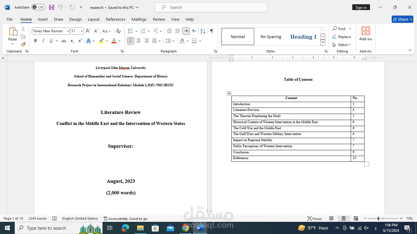 Literature Review