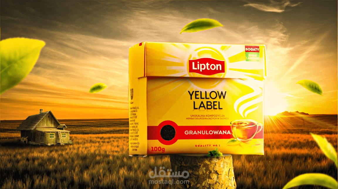 تصميم سوشيال ميديا