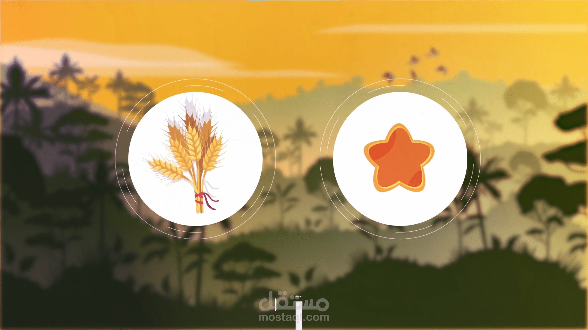 موشن جرافيك عسل بيشاوري