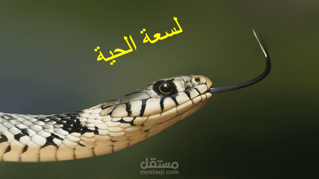 لسعات الثعابين