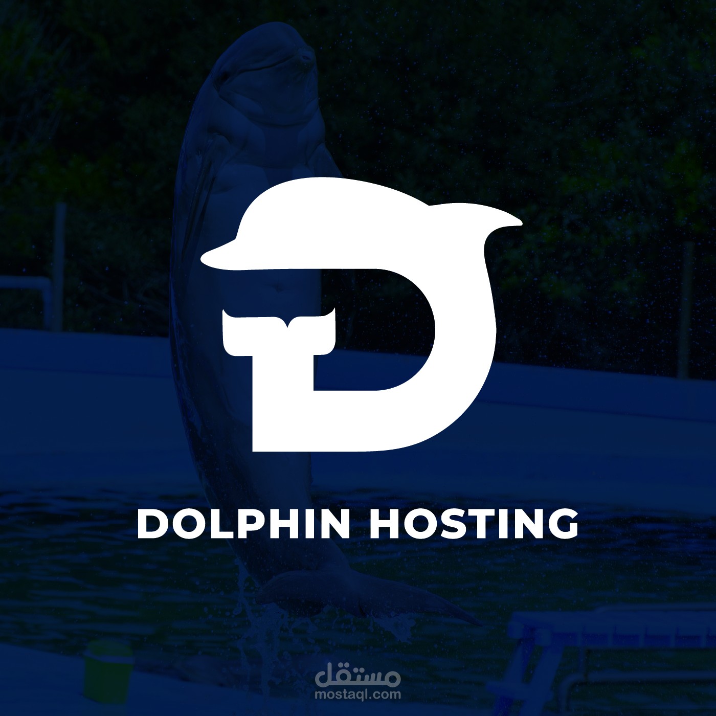 شعار دولفين هوستينج (Dolphin Hosting)