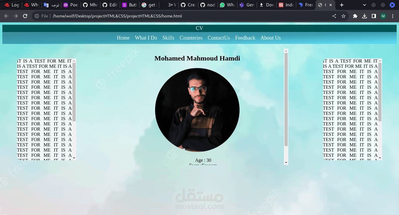 سيرة ذاتية