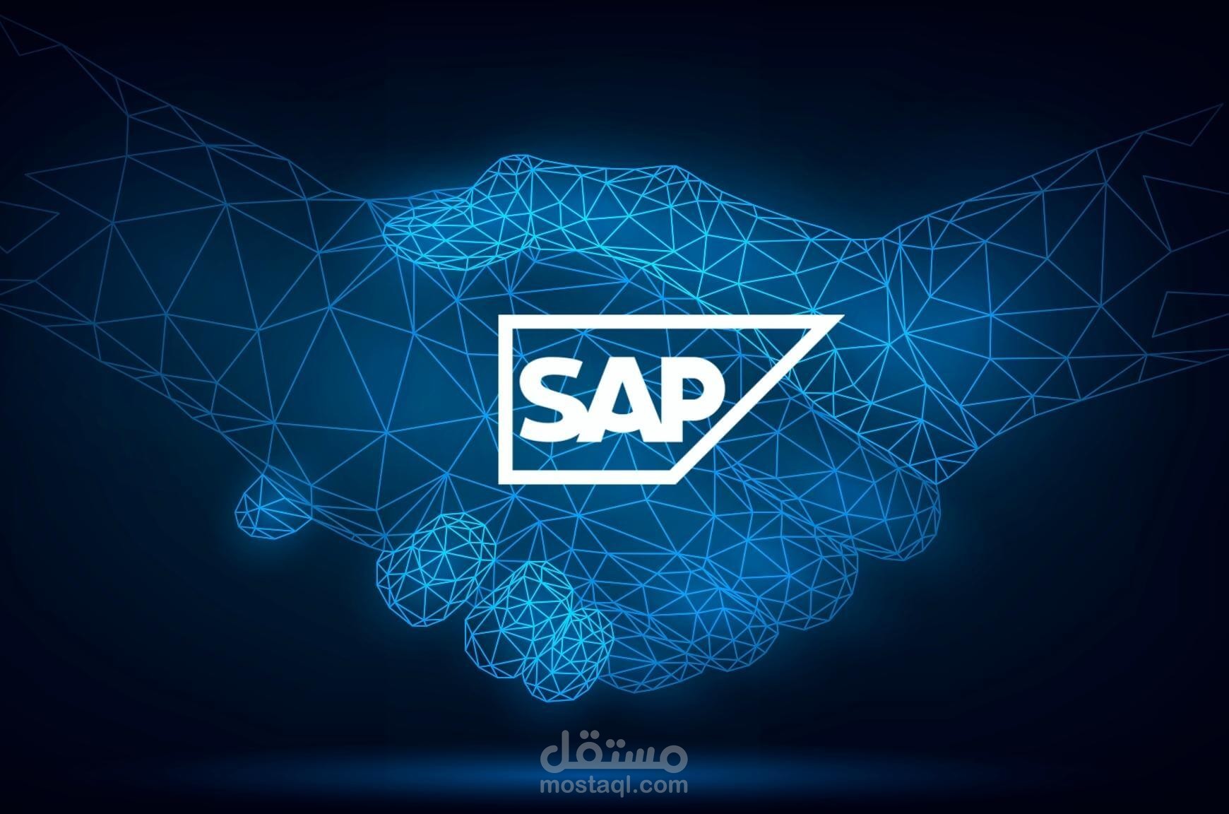 SAP Project