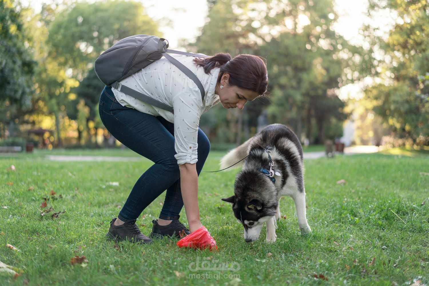 How to pick the top dog waste bags