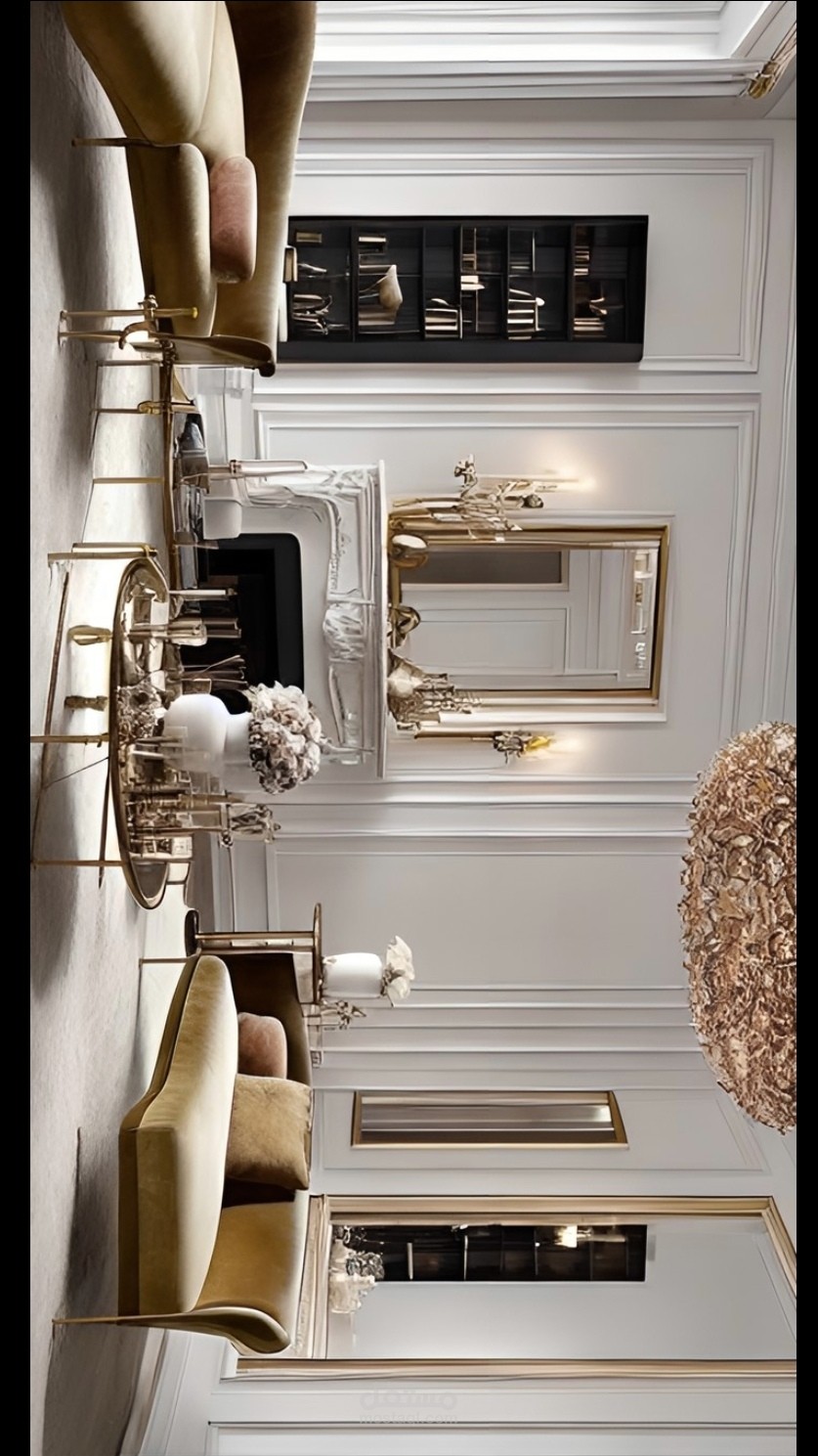 Modren French livingroom