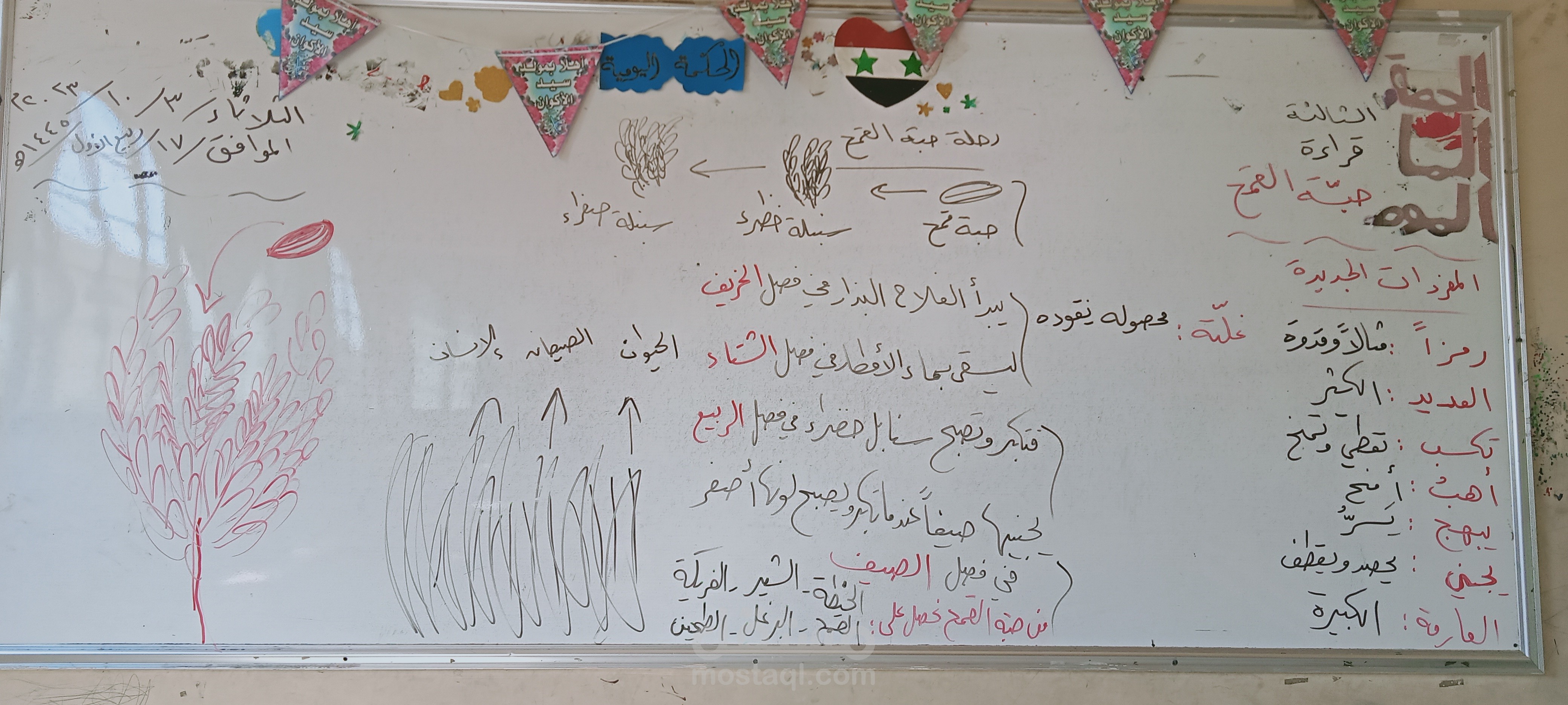 معلم ومدرس واستشاري