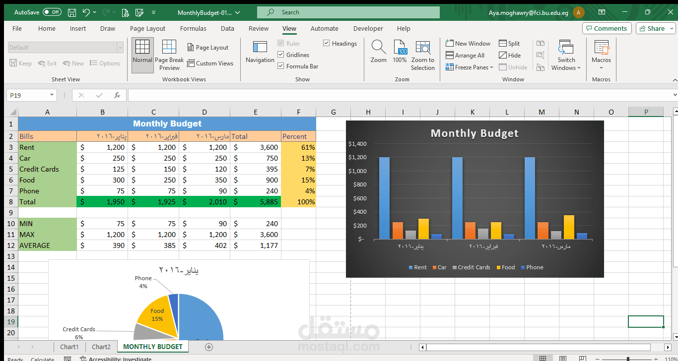 monthly budget