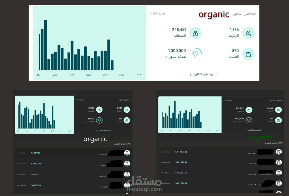 تحليل وتحسين الأداء العضوي (Organic SEO) لثلاثة متاجر إلكترونية – تقارير وتحليل البيانات - منصة Salla