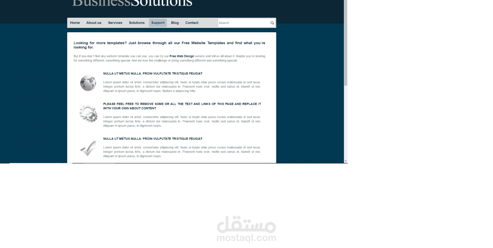 Busness website model