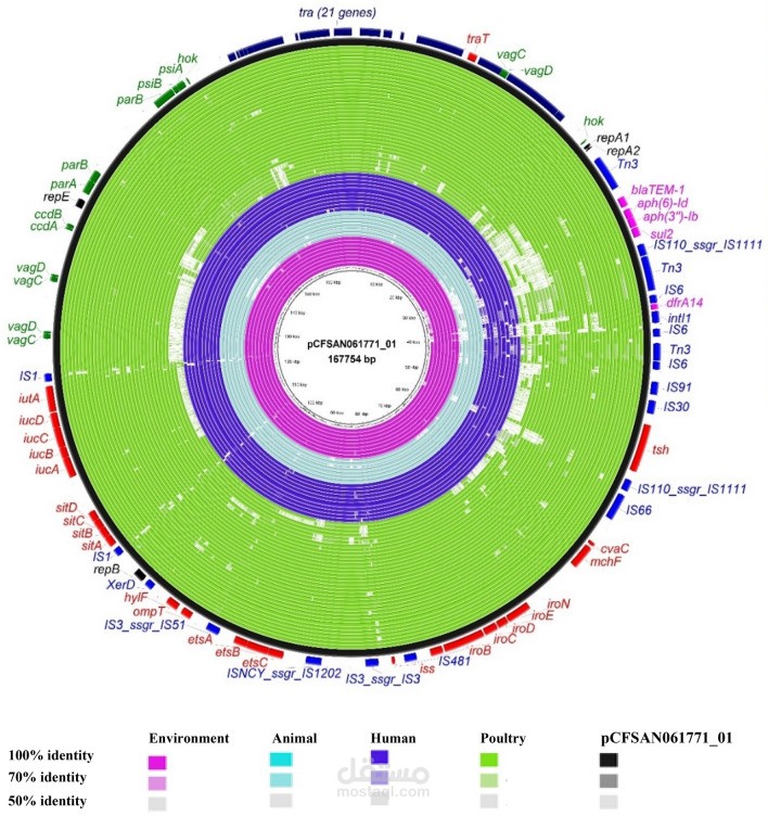 Pathogenome comparison and global phylogeny of Escherichia coli ST1485 strains
