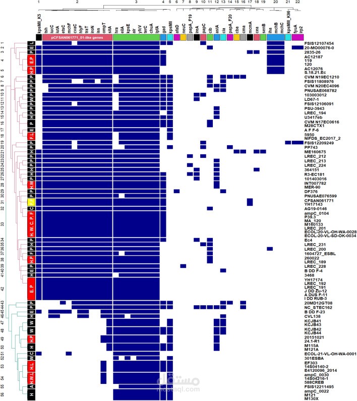 Pathogenome comparison and global phylogeny of Escherichia coli ST1485 strains