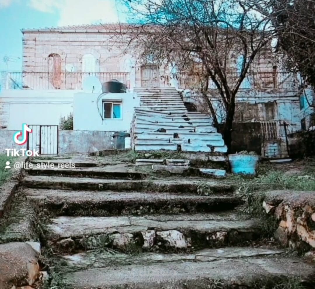 صورة وفيديو