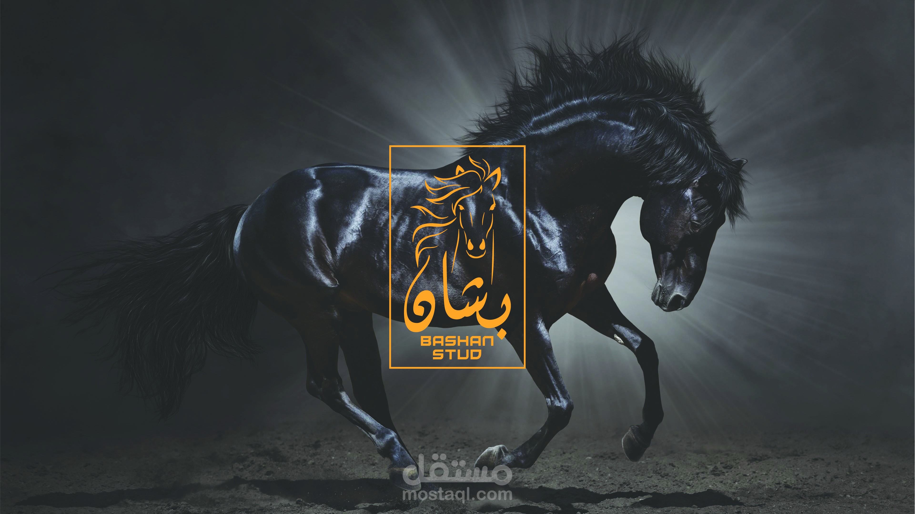 Bashan Stud