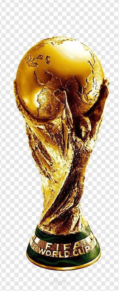 نبذه عن كاس العالم