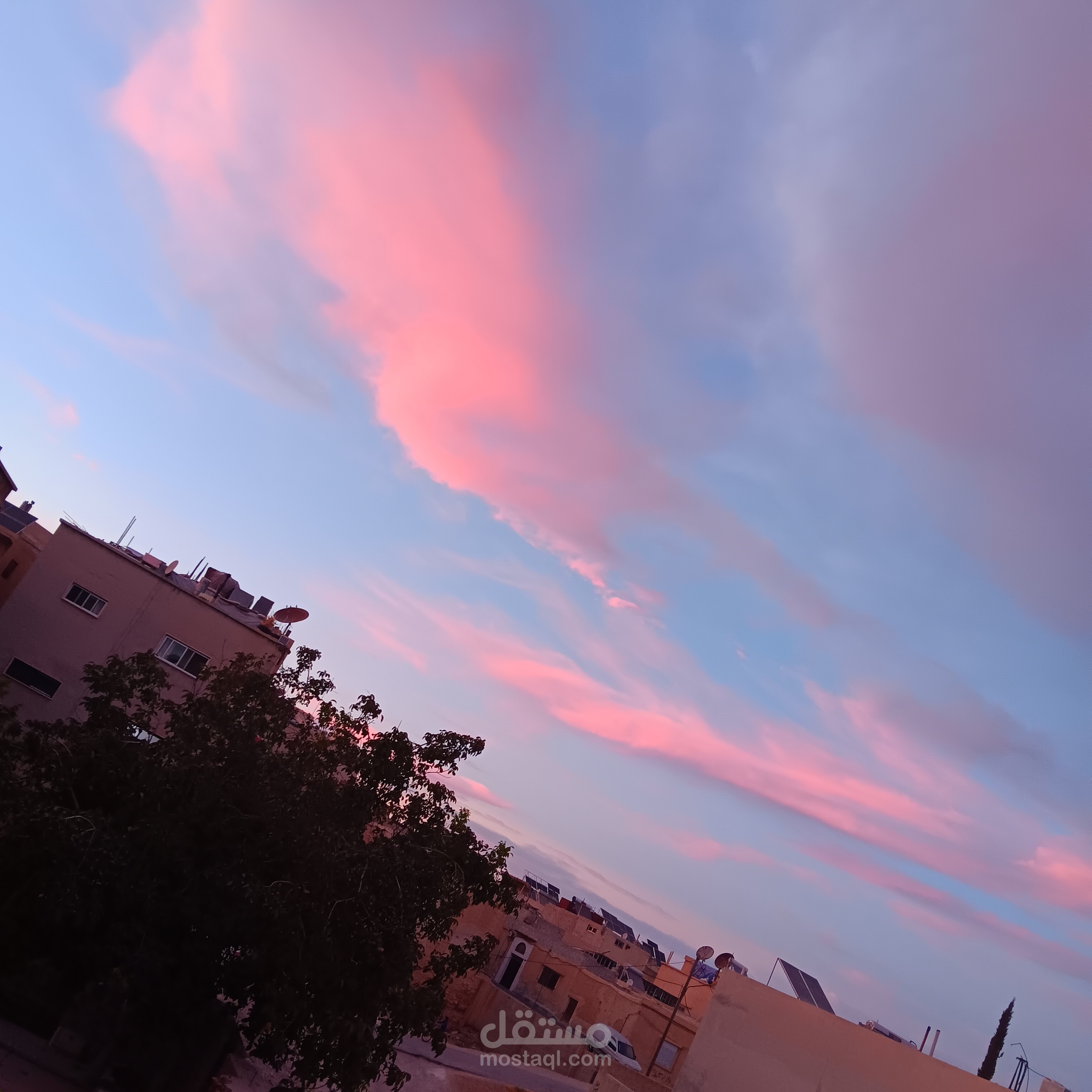 تصوير احترافي
