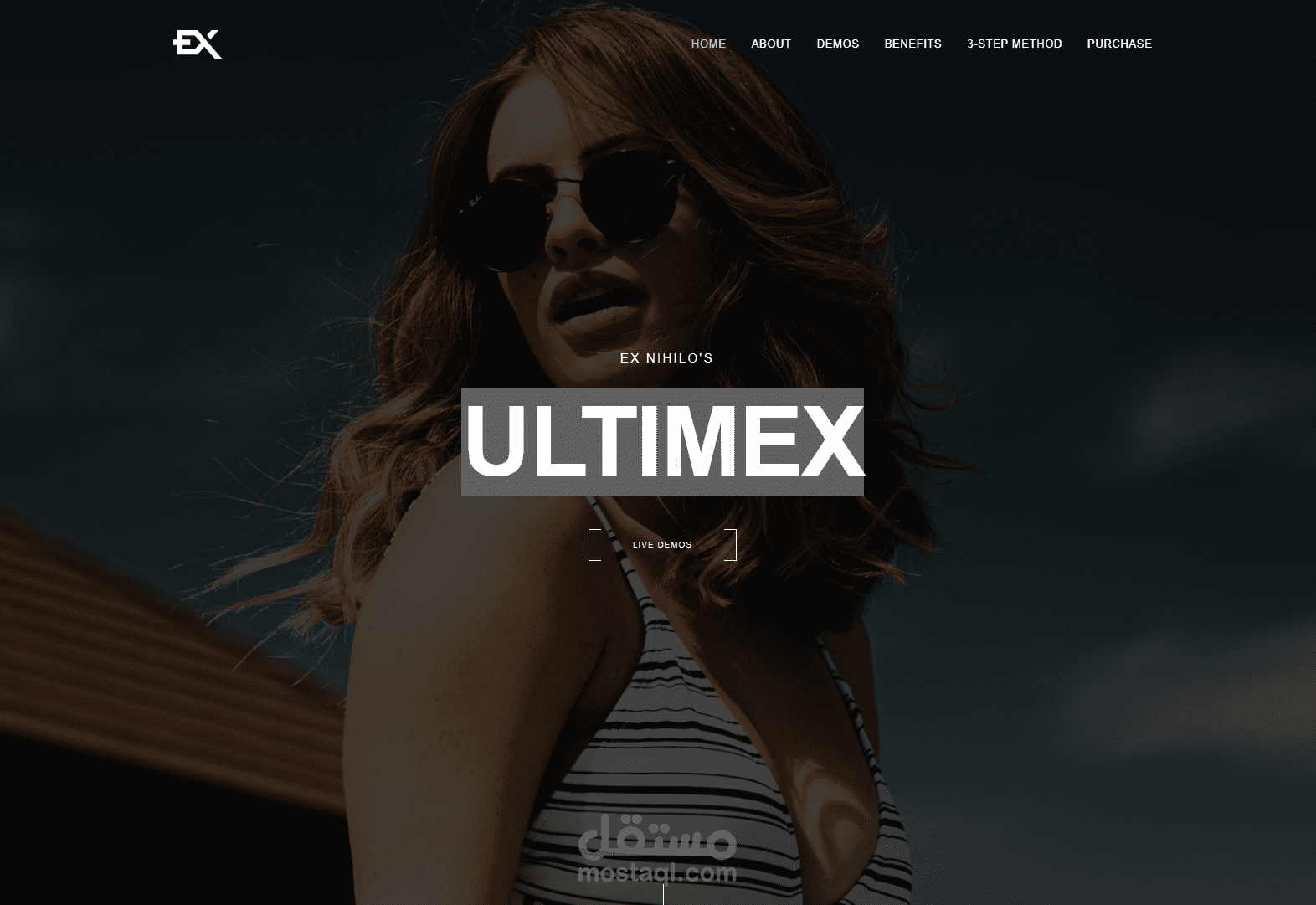 ULTIMEX website
