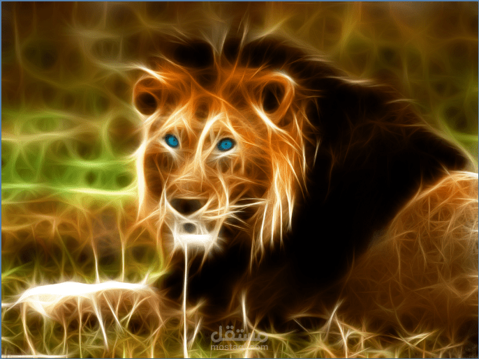 عمل فلاتر للصورة