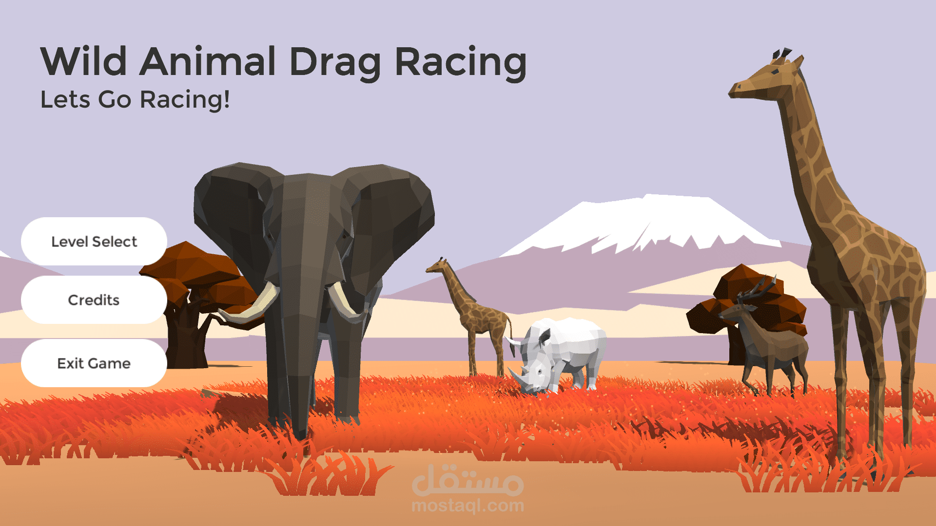 Wild Animal Drag Racing