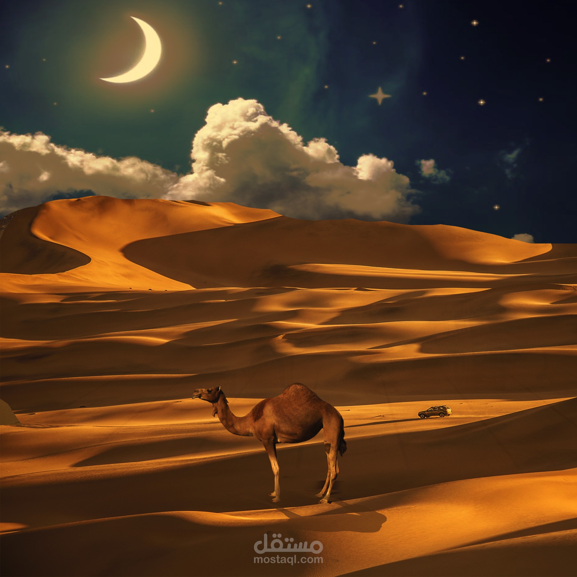 دمج صحراء