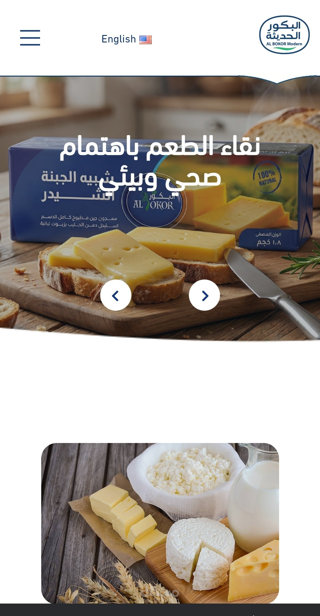 مشروع wordpress لمنتجات البان