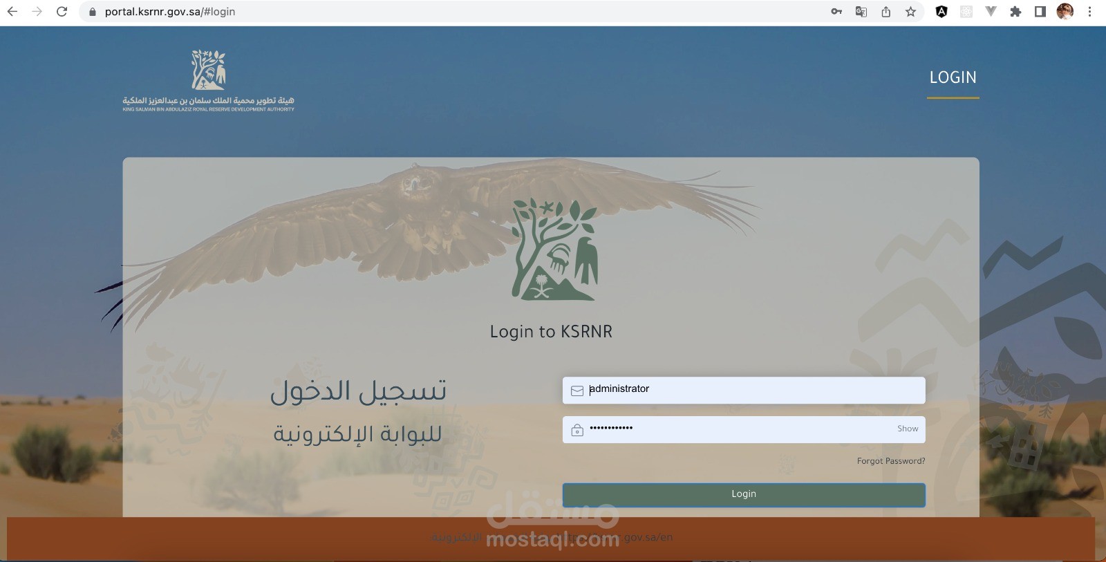 Enterprise Resources Planning Technical Consultant