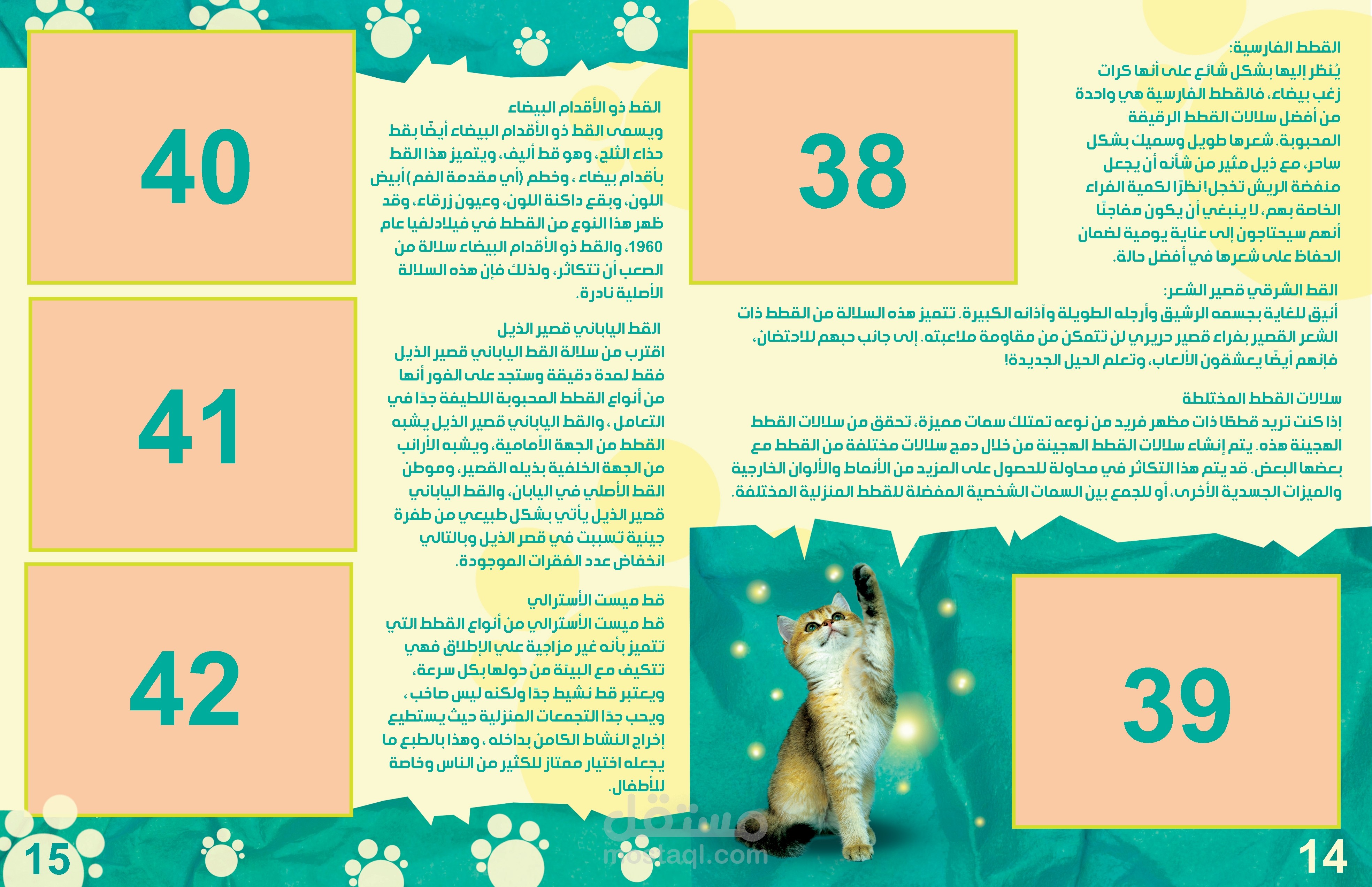 تصميم كتاب تعليمي للأطفال