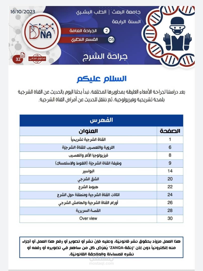 تنسيق محاضرة