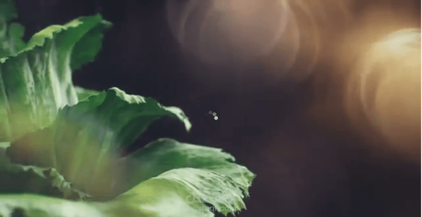 تصميم فديو لشركة socar ترويجي لشورما