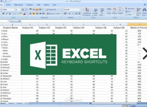 كافة أعمال المحاسبة والكتابة على الاكسيل