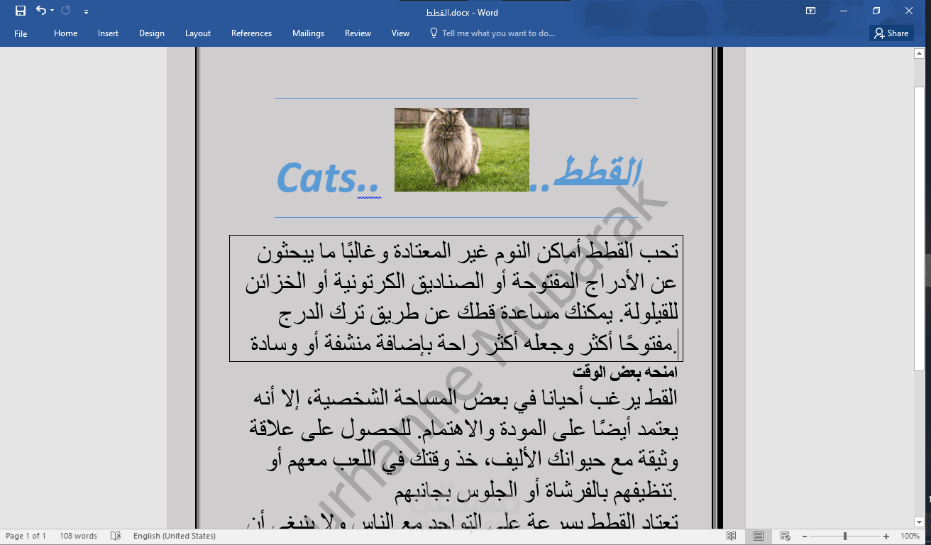 تصميم ملف Microsoft Word