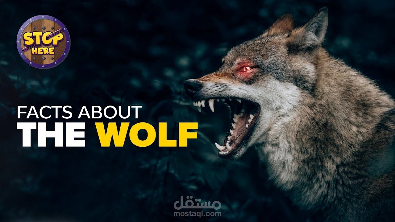 فيديو وثائقي باللغة الإنجليزية مع صورة مصغرة
