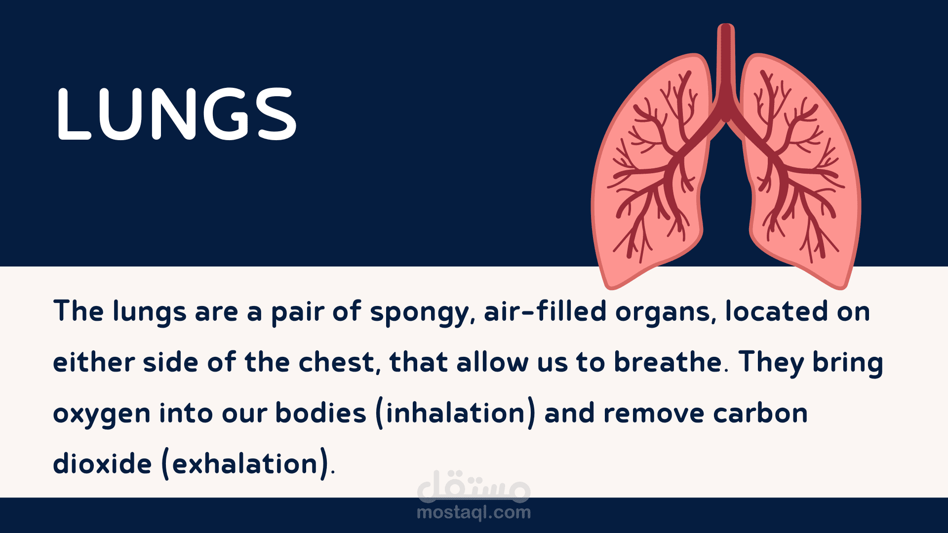 إنشاء عروض تقديمية و فيديو تعليمية بشكل إبداعى
