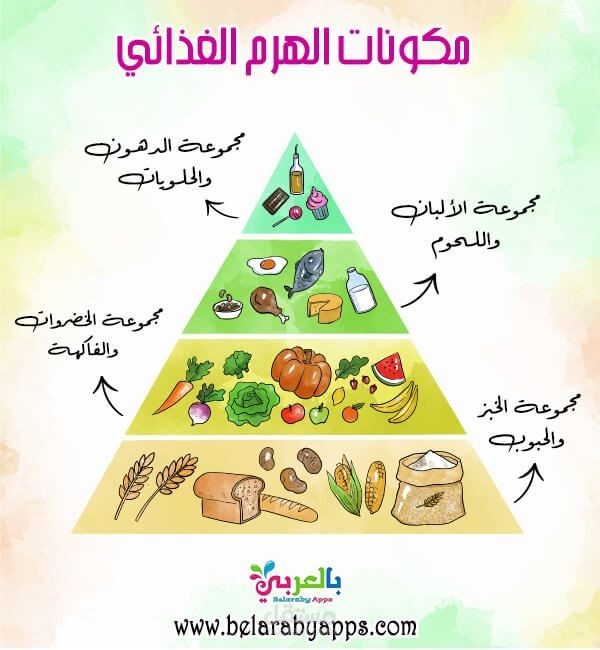 كتابه مقال عن التغذيه