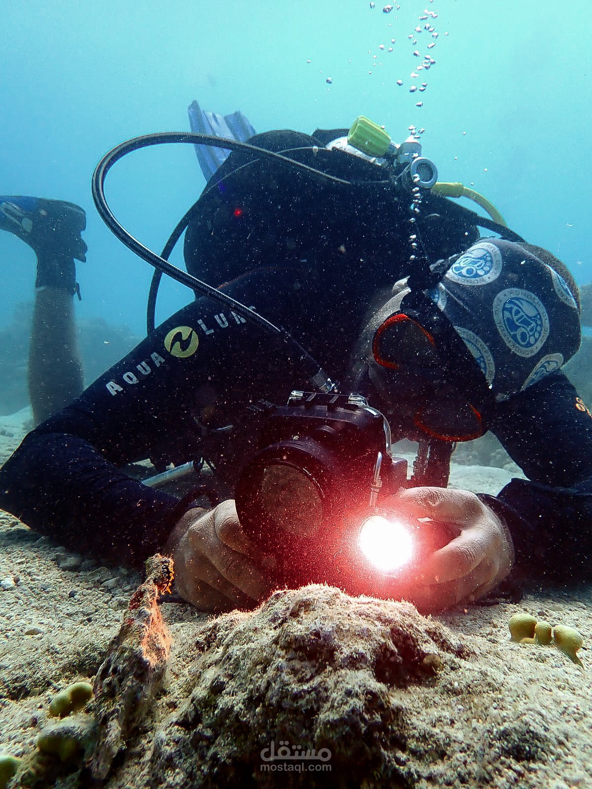 سمكه الحجر  Stonefish