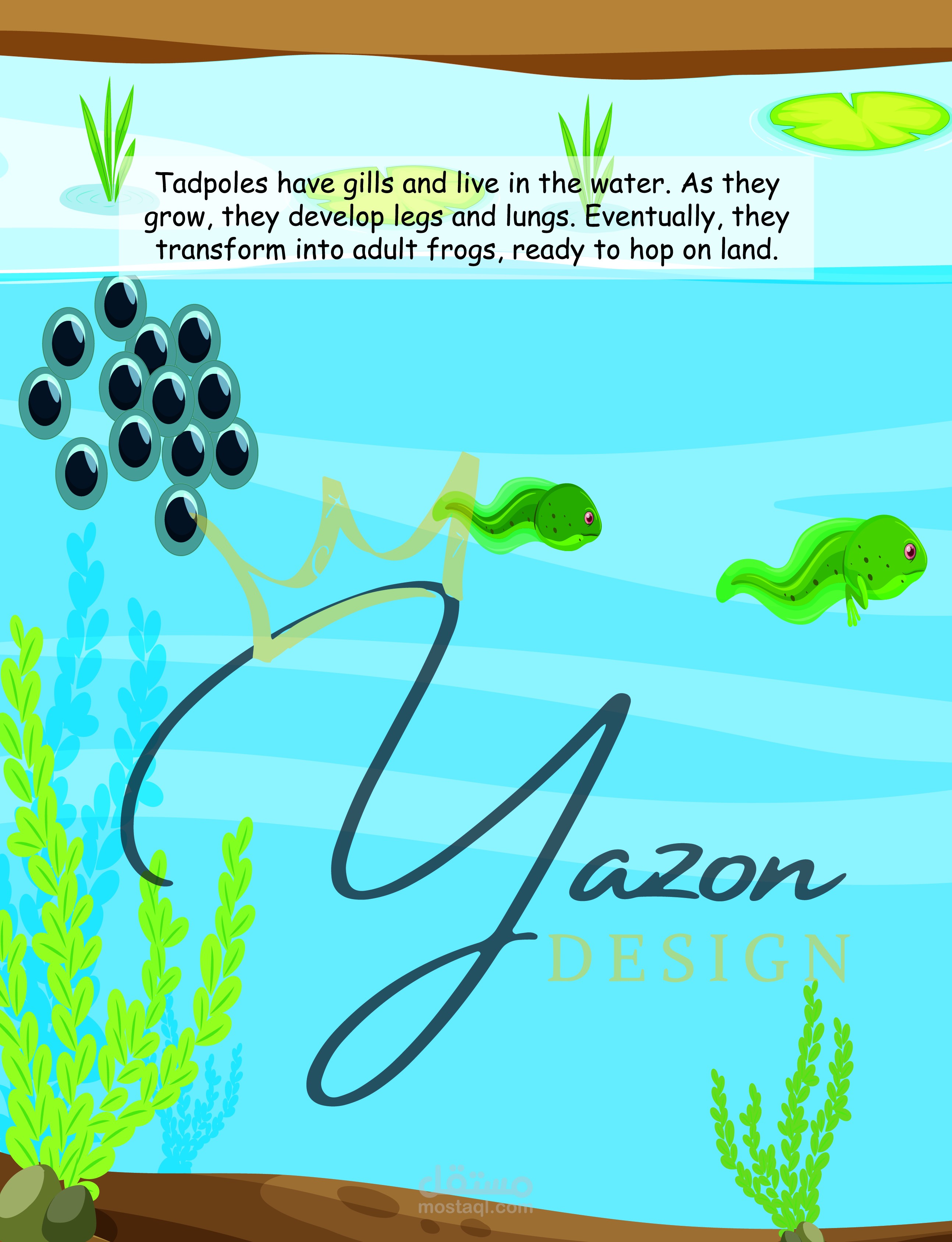 اختلافات بين التحول الكامل والتحول غير الكامل