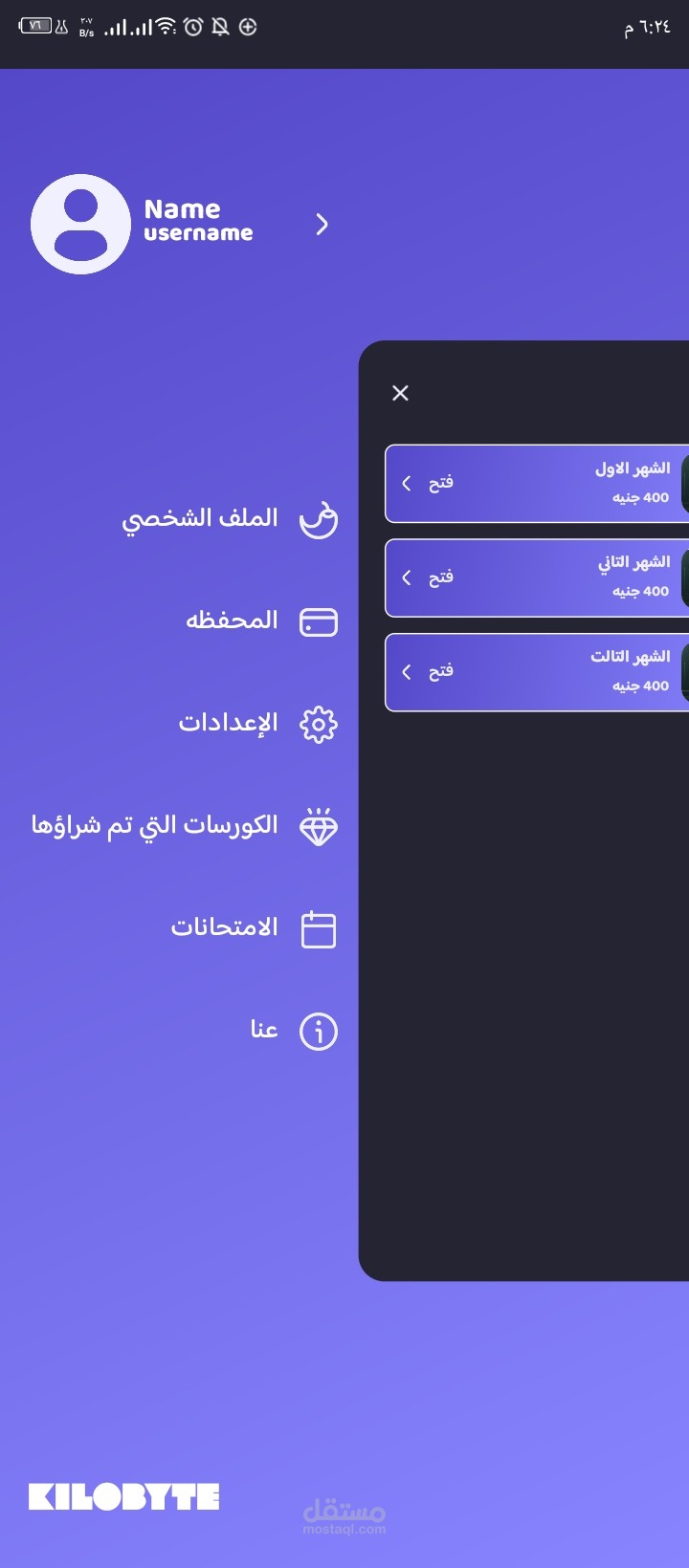 العمل مع فريق للانتهاء من مشروع