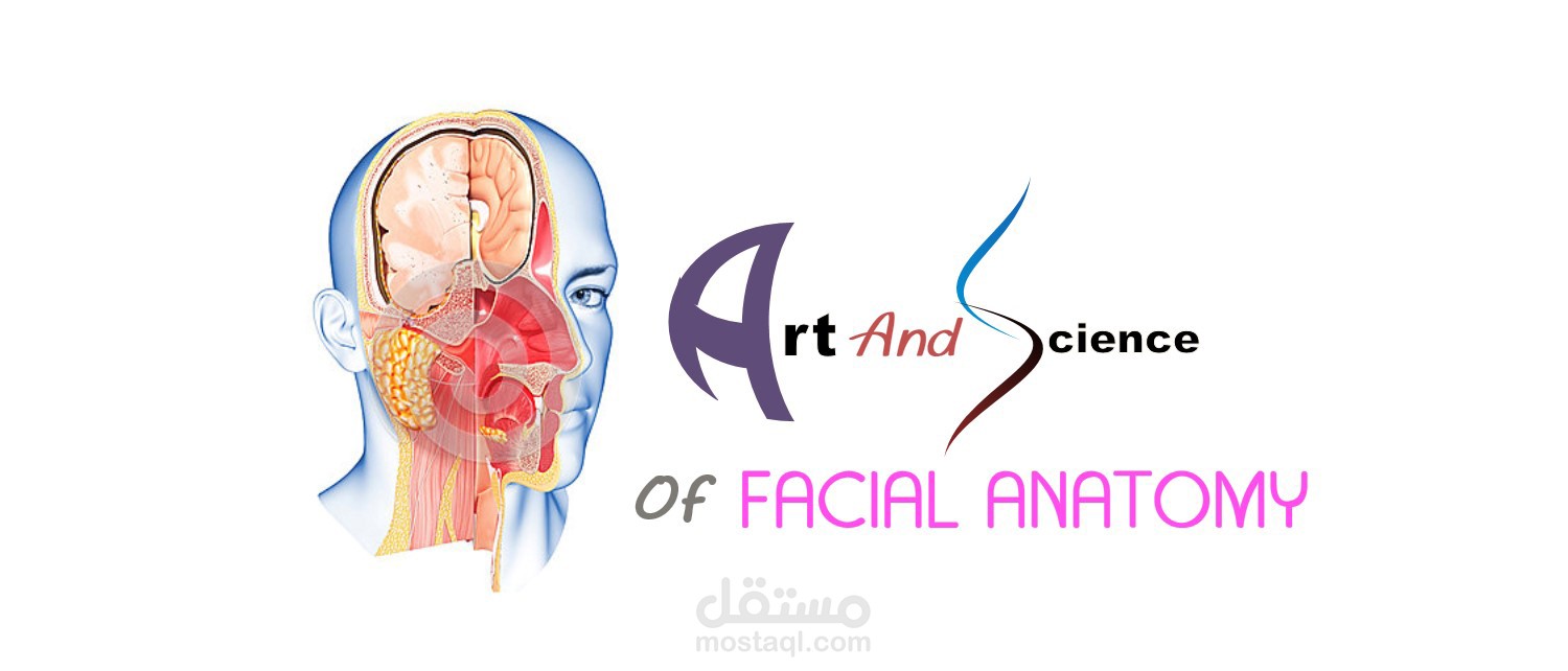 logo for art and science anatomy