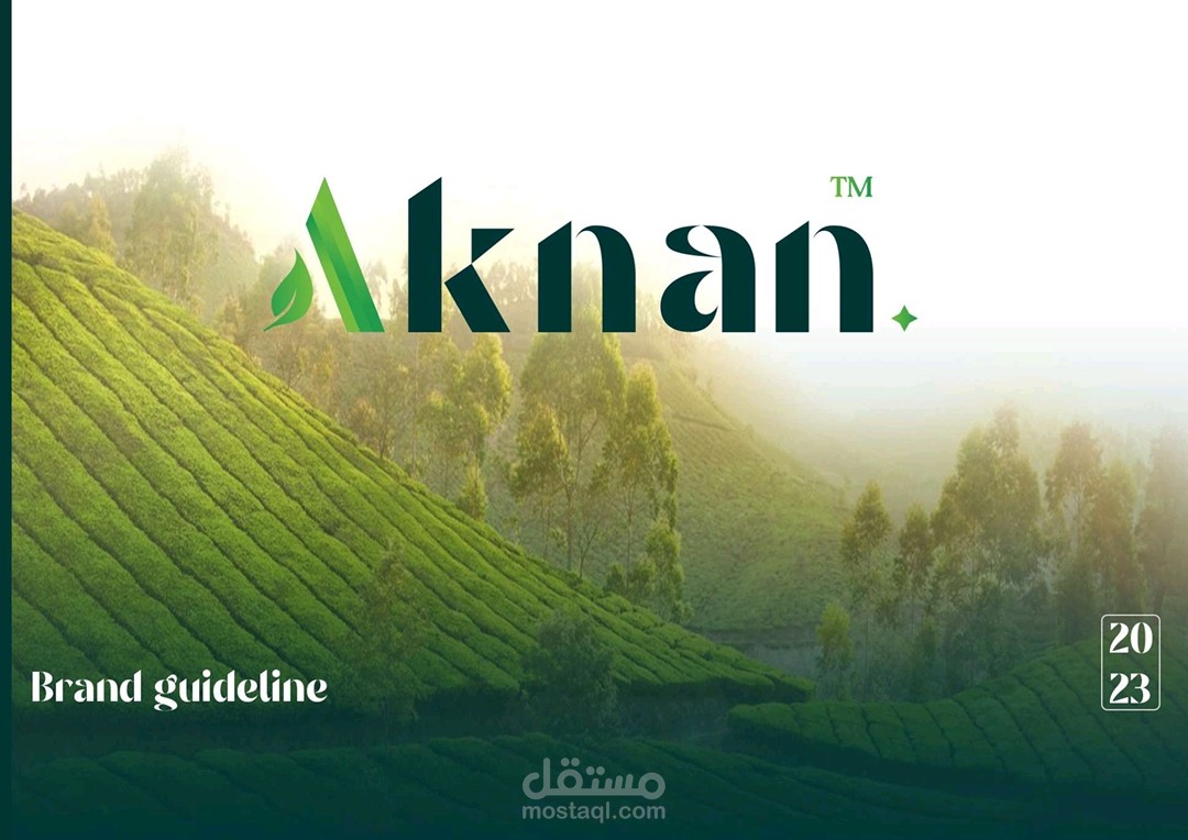 عمل تصميم الهوية البصرية