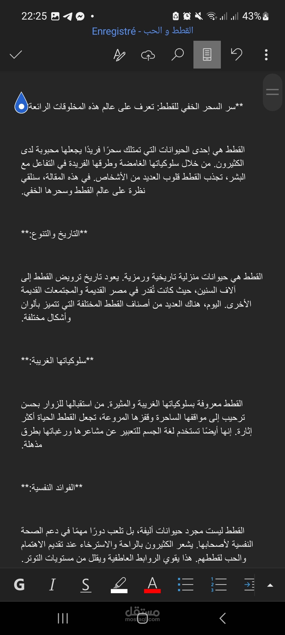 مقال عن القطط