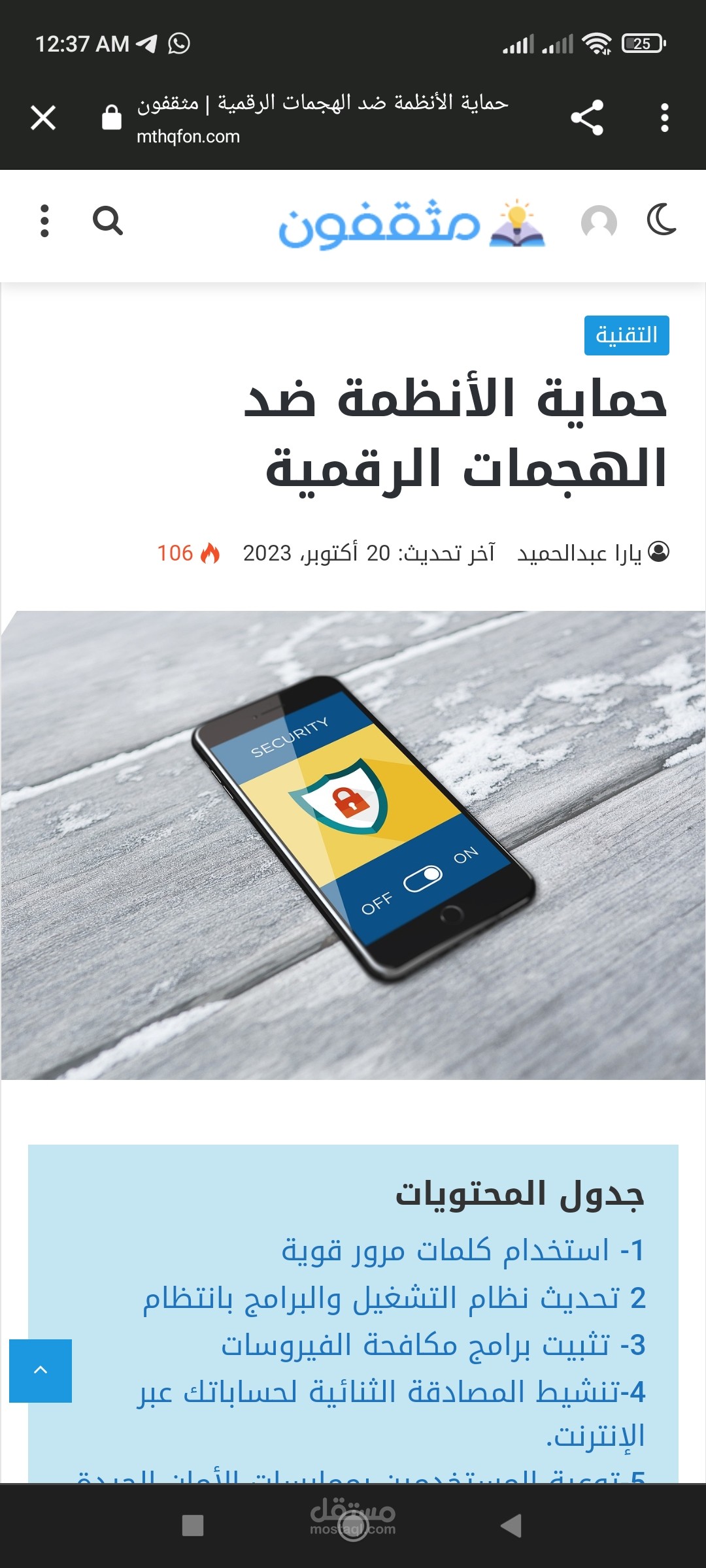 حماية الأنظمة ضد الهجمات الرقمية