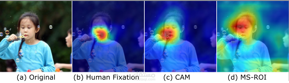 detection object