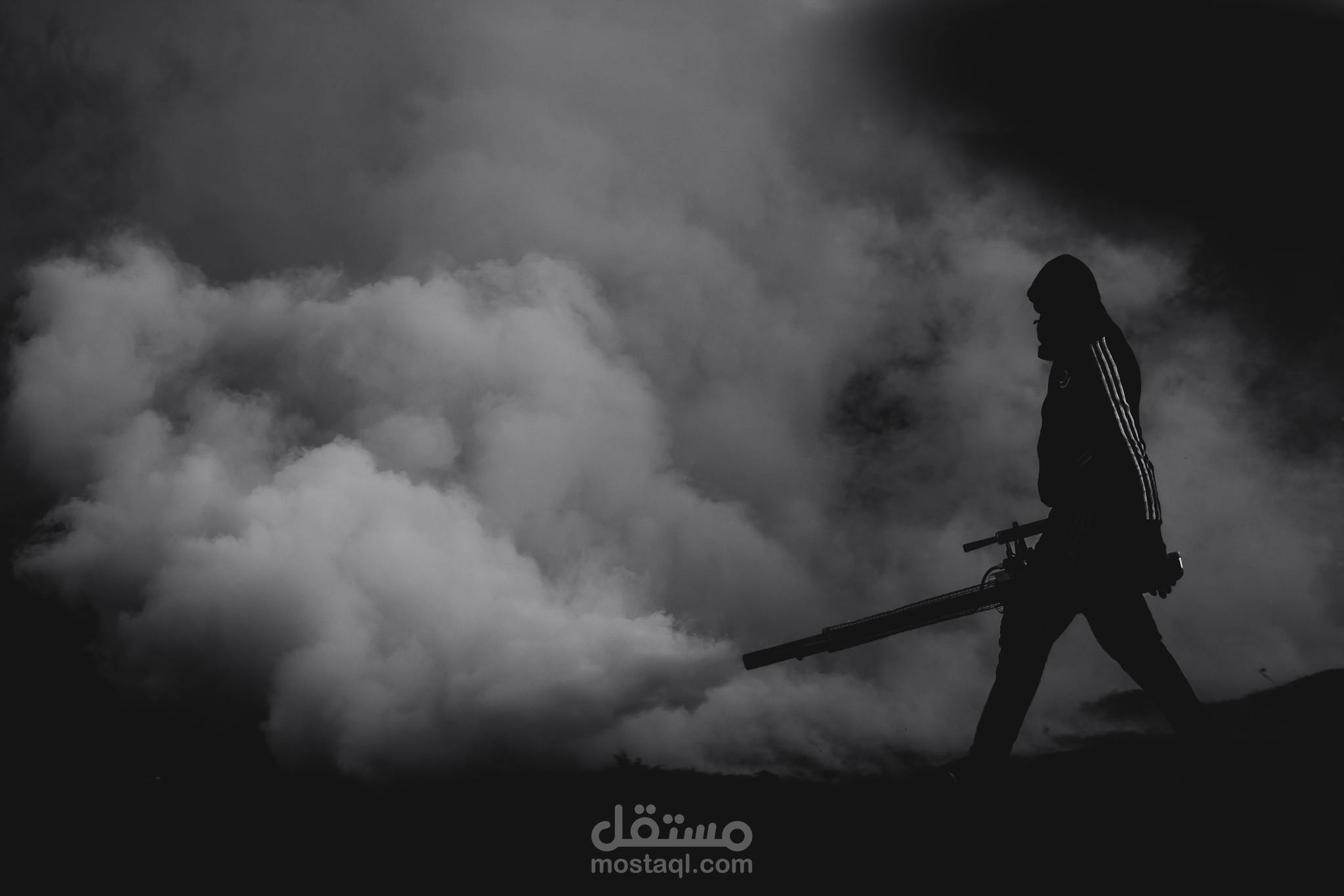 تصوير فوطوغرافي