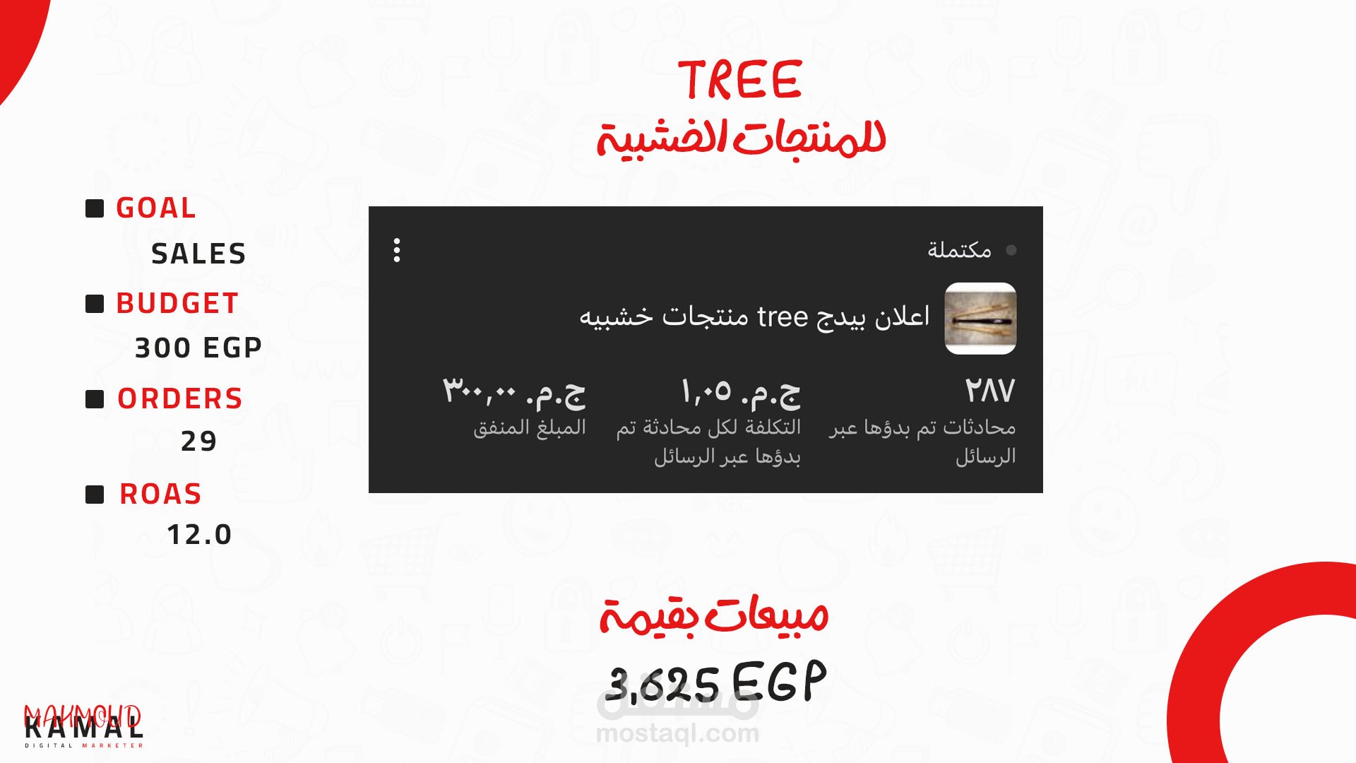 مبيعات بـــ 3600 جنية بميزانية اعلانية 300 جنية !