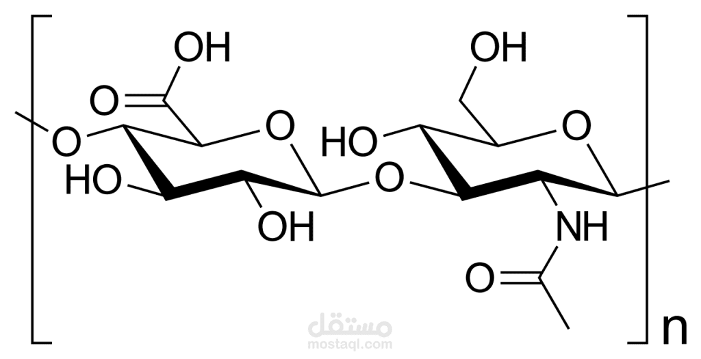 اليمن صنعاء