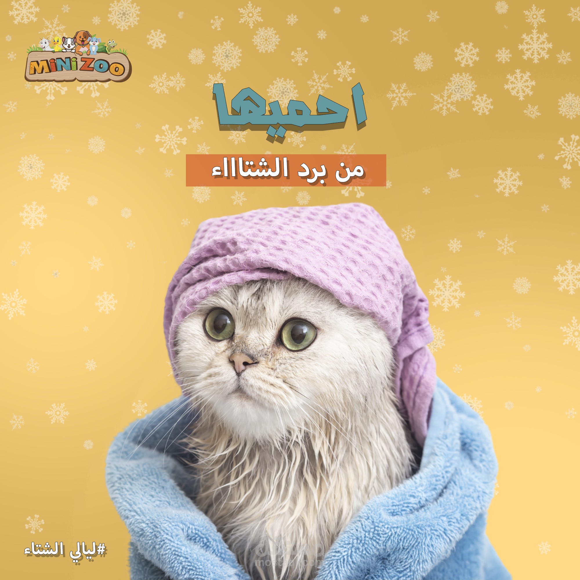 بوستات سوشال ميديا