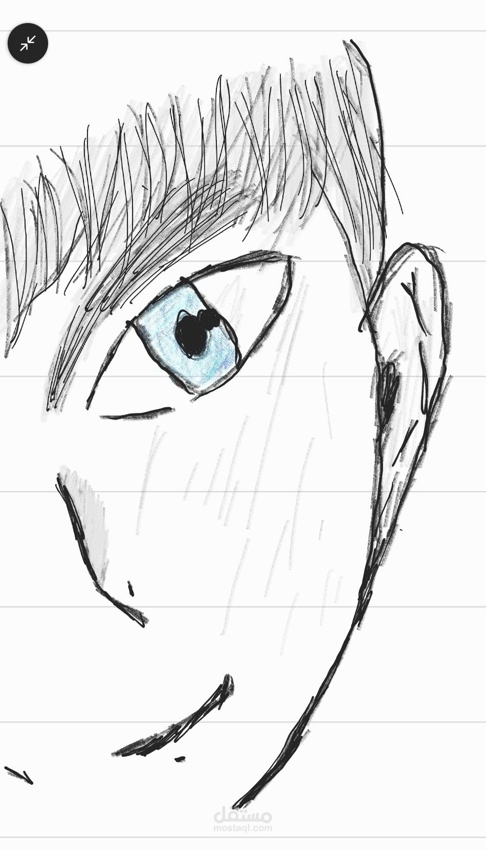 الرسم